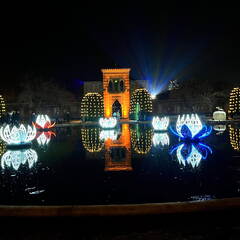 22-12-19 19-09-55 3661